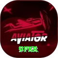 9pkr VIP vv4.0.5