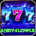andy flower Pro v1.1.1