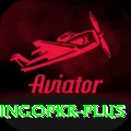 bingopkr Gold Edition v3.3.0