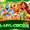 bpl live cricket VIP Edition v1.5.4