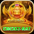 cricket bat Gold Pro v2.4.5