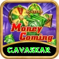 gavaskar VIP Pro v3.6.9