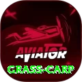 grass carp Turbo Pro v4.5.7