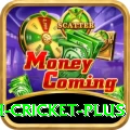 india bangladesh cricket Slots King v1.4.4