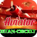 india pakistan cricket Pro Edition v1.1.7