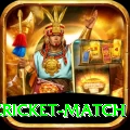 india pakistan cricket match Ultimate v2.2.9