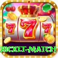 international cricket match Max v5.6.4