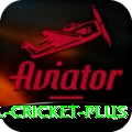 international cricket Plus APK v1.5.8