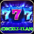 ireland cricket team Ultimate Pro v3.0.5