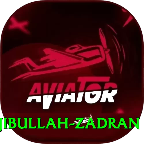 najibullah zadran VIP Edition v2.2.8 - 2