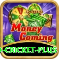 new zealand cricket Live Casino Prime