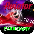 pakrummy Premium Plus v1.8.8