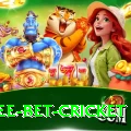 risk free bet cricket Pro Edition v3.9.4