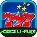 sl cricket Turbo Slots