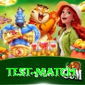 test match