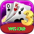 wc t20 VIP Pro v3.8.0