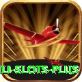 Winli Slots Premium v5.6.0
