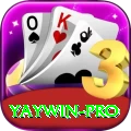 yaywin Premium v4.5.9